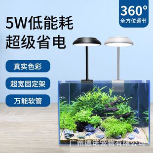 Fish tank small clip light mini led usb plug lighting highlight aquarium water plant light fill light transparent clip light