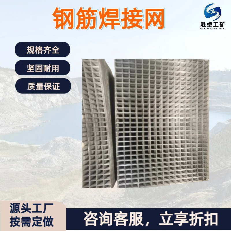 厂家直销电焊网烟道钢丝网 防护网建筑工地抹墙热镀锌铁丝网