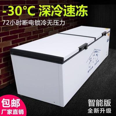 horizontal Freezer Freezer commercial capacity Freezing Cold storage Copper tube energy conservation Refrigerators Freezer