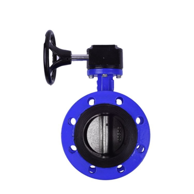 D341X-10C 涡轮软密封法兰蝶阀 DN65 双法兰软密封蝶阀 铸钢蝶阀