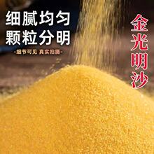 ��t����ɳ��t��Ļҽ���ɰɳ�ӽ�ɳ��ɰ��ҷ�������������ɳ