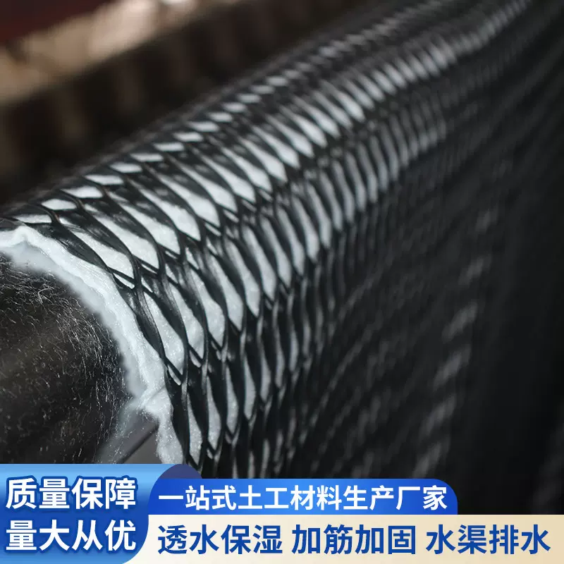 三维复合排水网垃圾填埋场复合网路基地铁隧道工程土工复合排水网