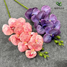 ��������m7 9�^3D��ӡ�zƬ�ҾӾƵ��c�Y�Ô[��9�^�����m���滨