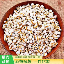 薏米現磨坊磨粉代用茶原料五谷雜糧原料大量現貨一件代發