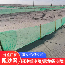 沙漠防沙板固沙用阻沙网 沙漠穿沙公路防护 塑料防沙网沙障栅栏