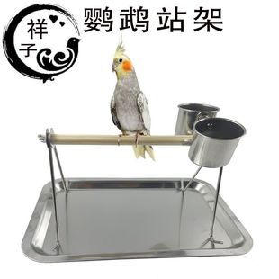 �W�^վ�ܲ��P��_�h�_朻�Ƥ�˸����PС̫ꖲ��ڌ�ľվ����ǧ���