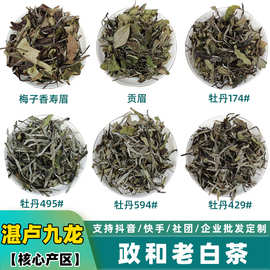 湛卢九龙大白茶 政和寿眉散装老白茶白牡丹 福建白茶茶叶批发市场