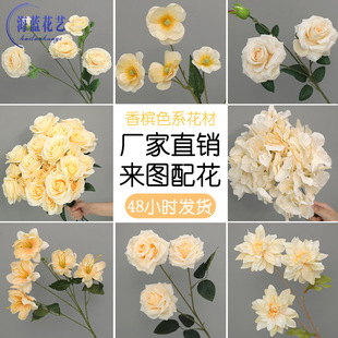 �㙉ɫ���滨��Y�ٻ������b��������ϻ����㙉ɫ��c���滨