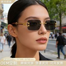 2026新款跨境复古切边太阳镜海洋片木纹镜腿猎豹男女方框无框墨镜