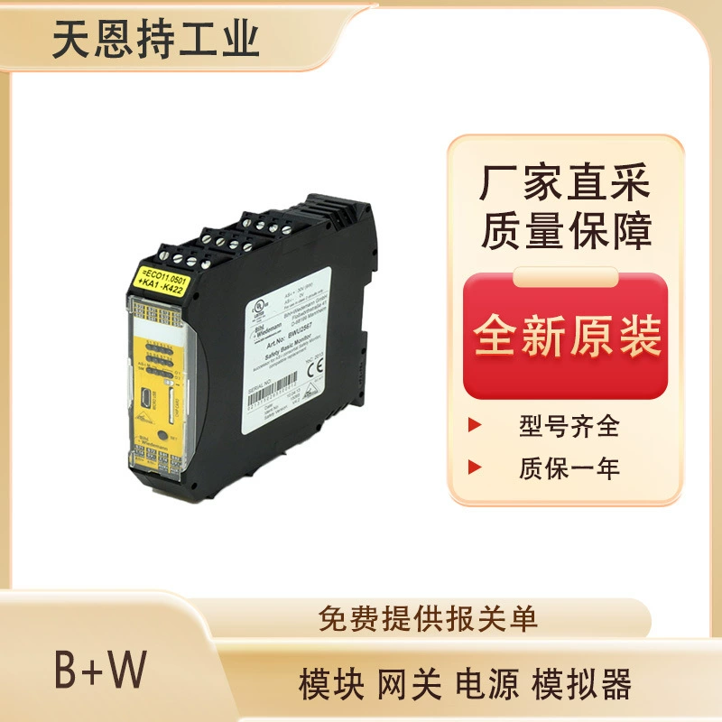 Немецкий модуль шлюза B+W BWU2045, новый, оригинальный, прямая покупка с завода