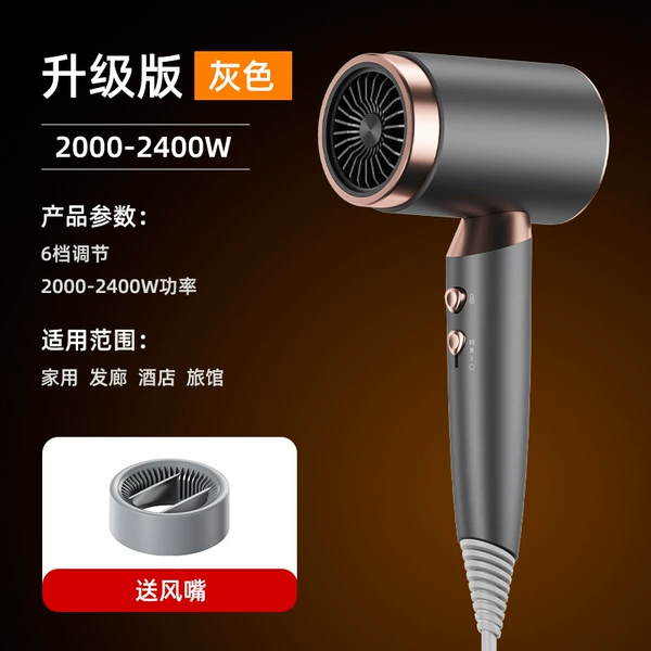 Gray [No. 42 National Standard] 2400W