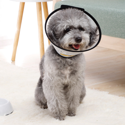 Large quantities of Elizabethan collar cat collars for bathing, beauty protection, protective supplies, pet collars wholesale