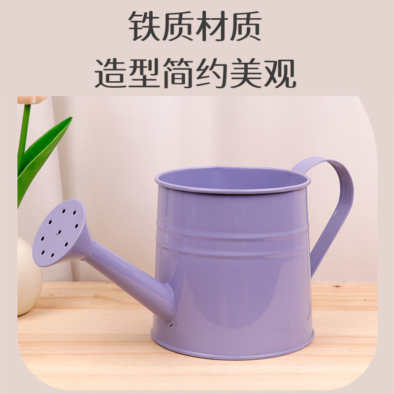 创意彩色铁艺洒水壶绿植多肉盆栽浇花喷壶园艺插花壶养花装饰花瓶|undefined