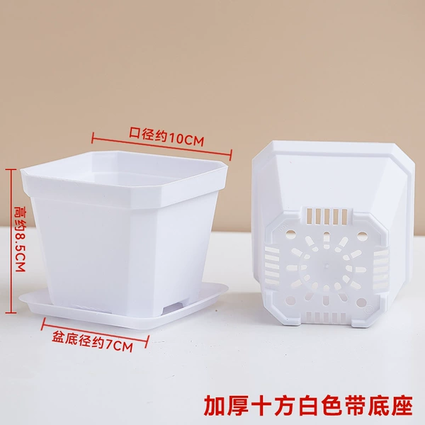 [加厚十方白色+底座]