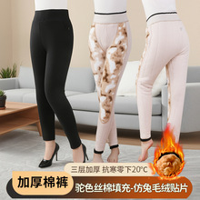 女士棉裤冬季外穿加长护膝保暖裤加厚加绒护腰打底裤中老年裤子