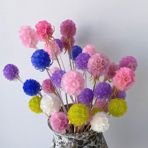 Perennial Flower Single Windmill Fruit Pine Bug Fruit High-end Dried Flower Yunnan Dried Flower Manufacturer Wholesale