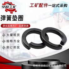 �S�ҹ��� ���ɉ|Ȧ �ߏ��ȏ��ɉ|Ȧ �A�ΰl�ډ|Ȧ