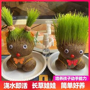 Tiktok-Style Creative Small Potted Desktop Cute Hydroponic Plants Fun Long Grass Doll Kindergarten Mini