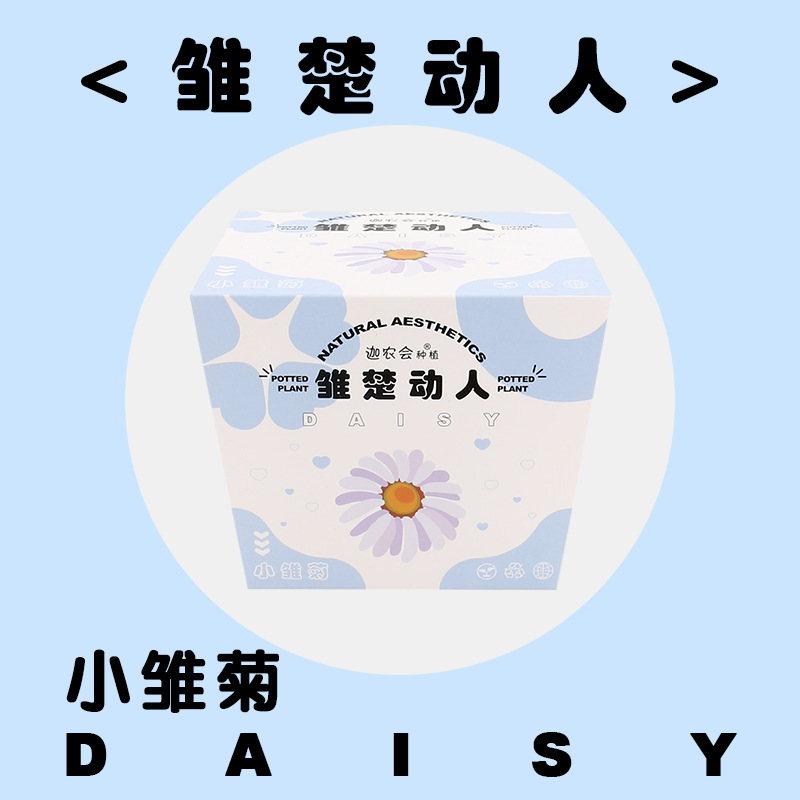 영 추 이동 중 (작은 데이지)