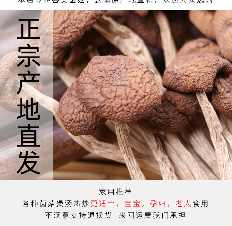 Dried Tea Tree Mushroom Cha Shu Gu Agrocybe cylindracea Whole Dried Mushrooms for Soup and Hot Pot in use