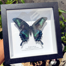 �G�����P��������˱����Y��[���b�Ů�����նY��520���˹�