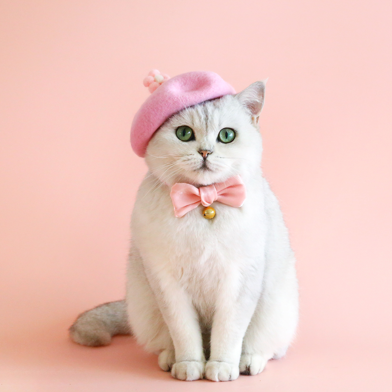 Mascota de lana de dibujos animados colorido boina sombrero gato cachorro fieltro flor abeja seta manzana Año Nuevo sombrero headwear