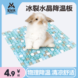 Hamster Summer Cooling Supplies, Cooling Plate for Pets, Special Ice Bed, Chinchilla Rabbit Mat, Summer Cooling Mat