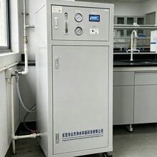 100升实验室超纯水机去离子设备去离子水过滤器超纯水制水设备