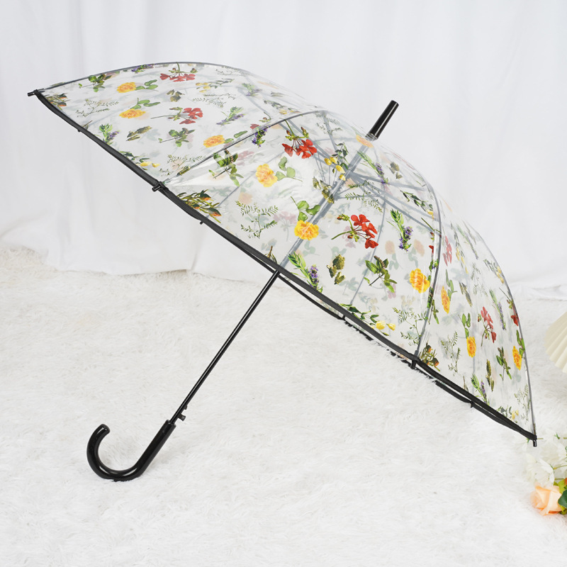 ͸ɡŮ黨ϸɡԶֱɡ8ɡ߼Сɡ