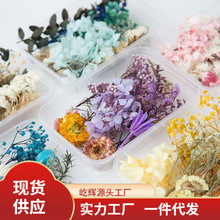 DIY混装花盒混合干花花材包手工材料包家居装饰真花风干花装饰品