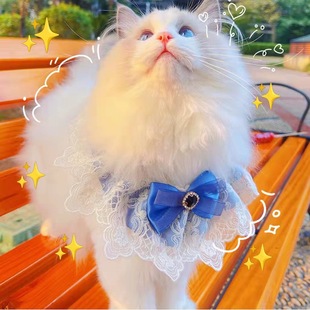 Pet ins Style Lace Bib Bib Collar Cat Dog Slip Towel Collar Cute Bib Jewelry Photo Props