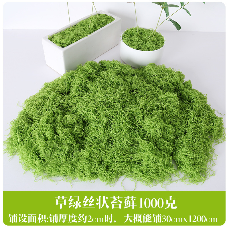 Musgo fibroso fruto verde - 1000g
