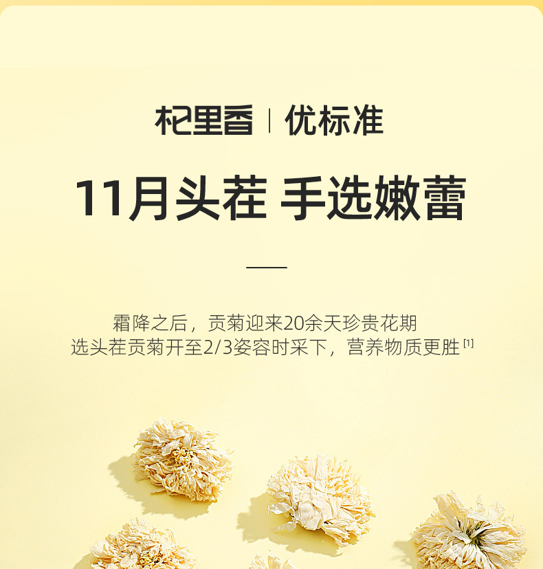 Huangshan Gongju White Chrysanthemum Flower Tea 25g Jar Dried Chrysanthemum for Daily Herbal Tea quality and texture