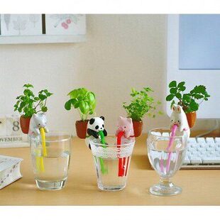 ���愓��Gֲ DIY���Կʿ�����Сֲ�� �����k����ֲ��