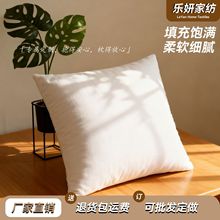 pp棉磨毛布枕头抱枕枕芯批发慢回弹羽丝绒丝绵无纺布枕心方形