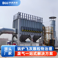 锅炉布袋除尘器脉冲滤筒粉尘收集器车间粉尘收集飞灰除尘环保设备
