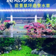 ǰˮԲ~b쾰ֲݹ̶ˮTײ