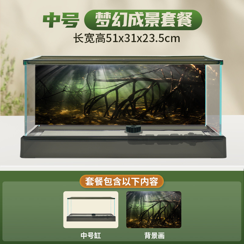 중형 남미 탱크 [초보자용 스타터 패키지] + 선물팩