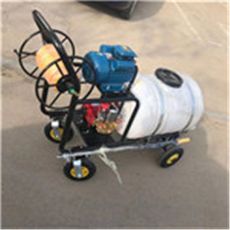 玉米小麦棉花农田除草打药机 手推式打药机 养殖防疫消毒打药机