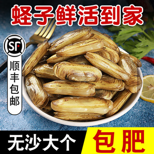 �|���r��rˮ�aؐ��|�����B노��p�^�|������ﮔ�լF�ڎ���