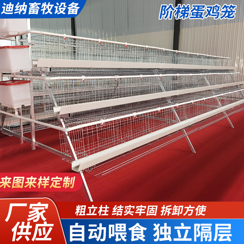 Jaula multicapa de cría automática completa de gallinas ponedoras de huevo rodante tipo escalón automático de doble lado de jaula doméstica de gallinas