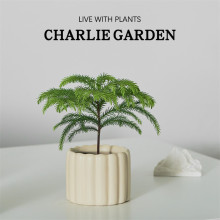 ����ɼ�����k��������[�����˾GֲҮ�Q����ꎺ��B���Wins