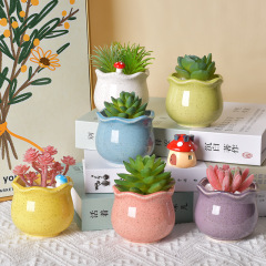 多肉植物用の陶器製植木鉢、クリエイティブなマカロン風ホームデコレーション、彩り豊かな植木鉢セット、多肉植物用のクリエイティブな植木鉢