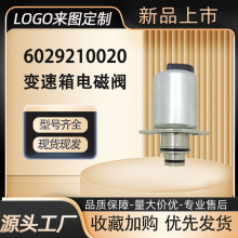 6029210020׃늴y춂Ӳ늴ybdCھCS