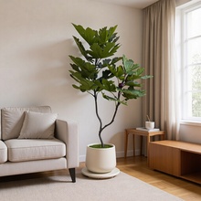 ����o���������Բ��� ���z�U�o������������Gֲ���^����o����