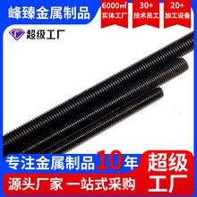 8.8级丝杆高强度细牙全牙通丝螺杆全螺纹牙棒丝杠牙条螺丝杆M10M6