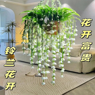 �ļ��_���M�ں��m��ˮ��m�����ԷN�����̨���ܷN�����҃��׻�