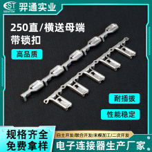 250插片插簧直带横带带锁接线端子 厂家直供6.3mm线路板接线端子