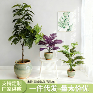 �羳���W���滨�Gֲɢβ�������҃ȿ͏d�ҾӔ[�O�b��~�٘�