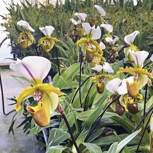 ���m����ʯ���殐����ޥ�m���m�҃����ԾGֲ��Ь���m��������